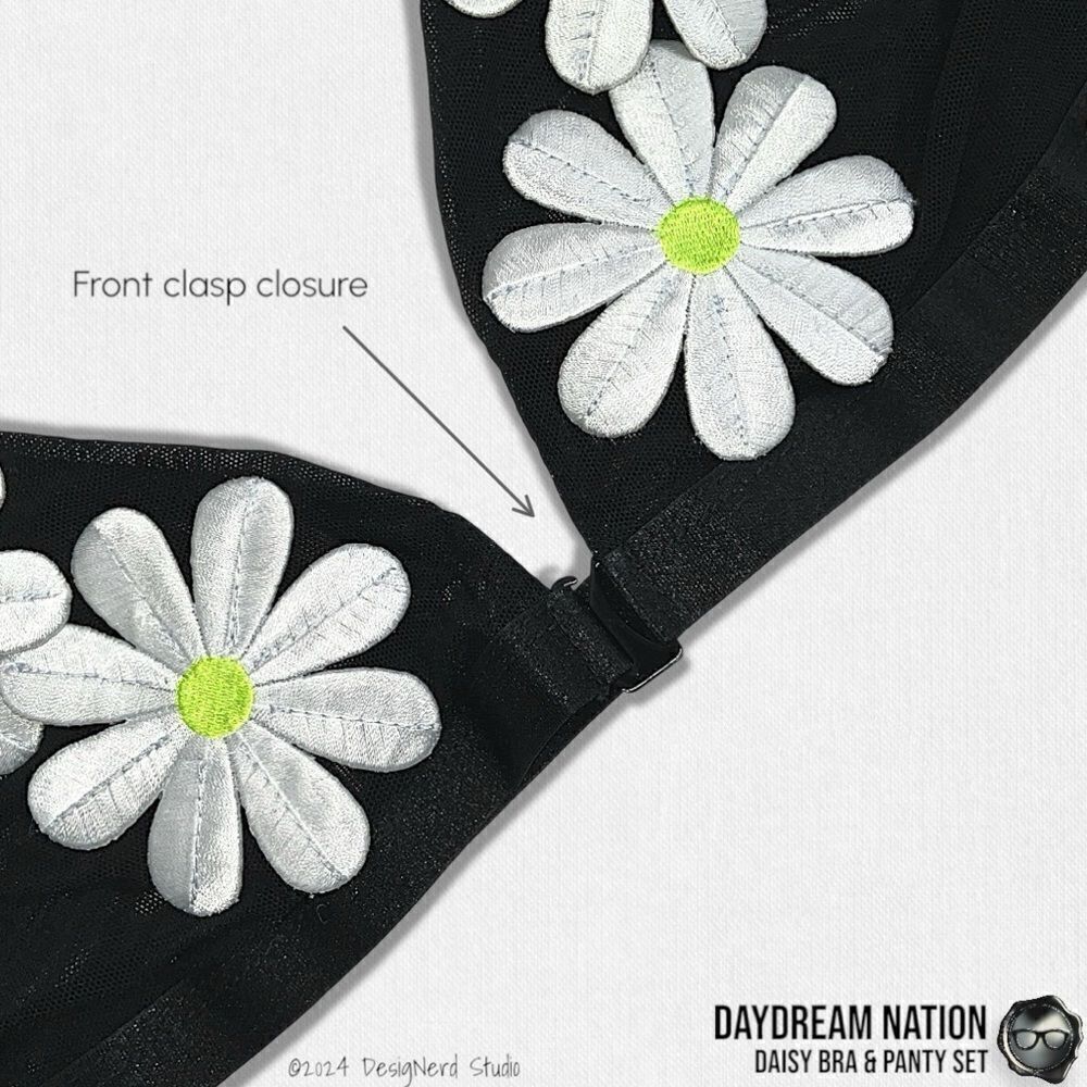 DAYDREAM NATION DAISY BRA & PANTY SET IN BLACK SHEER MESH LINGERIE SIZE MEDIUM - Picture 5 of 13